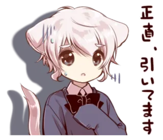 🍭 正直、引いています anime, cat, boy, kawaii, cute whatsapp sticker