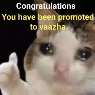😂 Congratulations
You have been promoted
to vaazha cat, meme, funny, congratulations, promotion, vaazha, animal telegram sticker