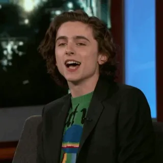 🥀 Timothée Chalamet diễn viên, người nổi tiếng, đàn ông, chân dung telegram sticker