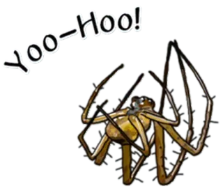 😥 Yoo-Hoo! spider, insect, arachnid, yoohoo telegram sticker