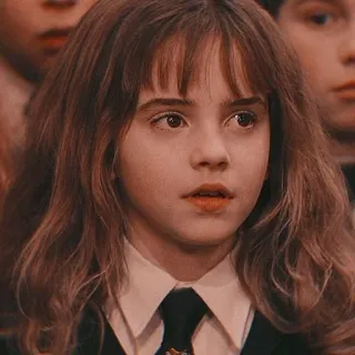 🦋 Hermione Granger Harry Potter harry potter, hermiona, granger, magia, czarodziej whatsapp sticker