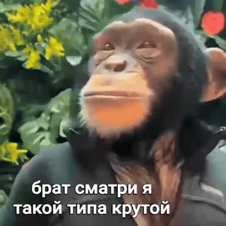 Больше стиков тут: @stikery4 telegram stickers