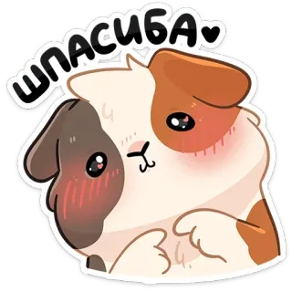 😌 СПАСИБА モルモット, 可愛い, かわいい, ありがとう, 動物, 漫画, ペット telegram sticker