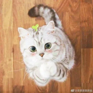 🙏 @美美美美美锅 猫, かわいい, 動物, ペット, 子猫, 愛らしい telegram sticker