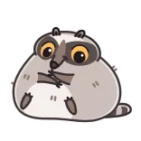 Raccoon Days @TgEmojis telegram emojis 🥺