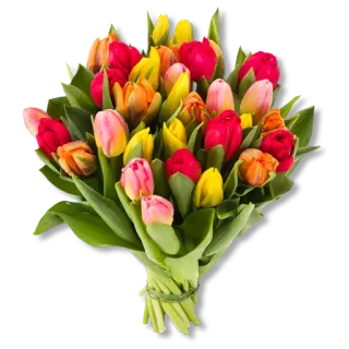 💐 цветы, букет, тюльпаны, цветочная композиция, весна, подарок, праздник telegram sticker