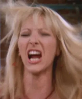 😡 Phoebe Buffay Friends Friends, Phoebe, Lisa Kudrow, funny, tv show telegram sticker