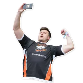 💪 pria, selfie, pro virtual, olahraga, perayaan, gamer telegram sticker