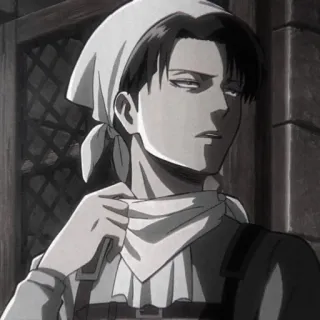 🍷 Levi Ackerman Attack on Titan anime, manga, character, levi, attack on titan telegram sticker