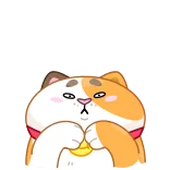 🫣 telegram sticker
