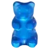 🐻