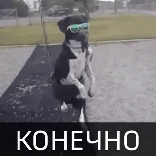 😎 КОНЕЧНО cane, occhiali da sole, altalena, divertente, animale telegram sticker