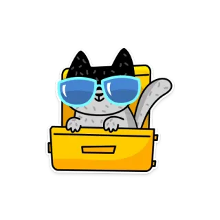 😎 고양이, 여행 가방, 선글라스, 동물, 여행, 만화, 스티커 telegram sticker