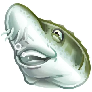 🐟 물고기, 수생, 동물, 바다,  океан, 생물 telegram sticker