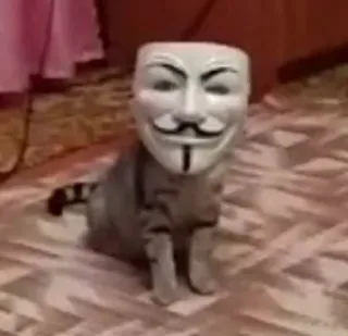 😷 gatto, maschera, anonimo, guy fawkes, divertente, animale telegram sticker