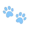 🐾