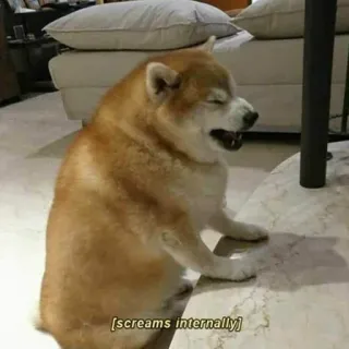 😖 [screams internally] chien, shiba inu, mème, drôle, criant, intérieurement, doge telegram sticker