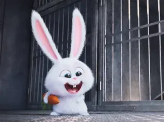 😜 Snowball The Secret Life of Pets Dibujo animado, Conejo, Conejo, Lindo, Animal, Mascota whatsapp sticker