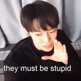 😨 they must be stupid meme, divertente, reazione, stupido, Kpop, sarcasmo, affermazione telegram sticker
