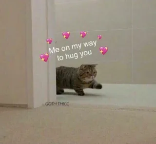 🤙 Me on my way to hug you кот, объятие, любовь, животное, милый, мем, добрый whatsapp sticker