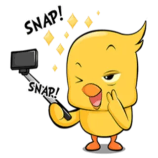 📸 SNAP! SNAP! Dibujo animado, Pájaro, Selfie, Lindo, Fotografía, Animado, Emoji whatsapp sticker