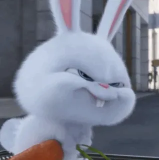 🧊 Snowball The Secret Life of Pets rabbit, bunny, pet, angry, carrot, cartoon, animal telegram sticker