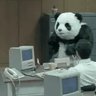 😊 panda, office, computer, animal, funny, meme whatsapp sticker