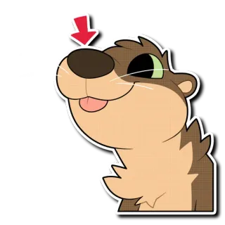 👃 otter, cute, animal, cartoon telegram sticker