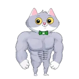 💪
