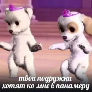 💃 твои подружки хотят ко мне в панамеру chiens, animation, amis, animaux, drôle, danse telegram sticker