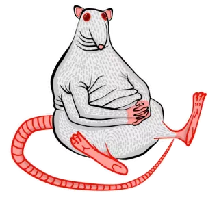 😐 rata, animal, gracioso, dibujo animado, roedor telegram sticker
