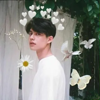 💙 homme, coeurs, marguerite, papillon, oiseaux telegram sticker