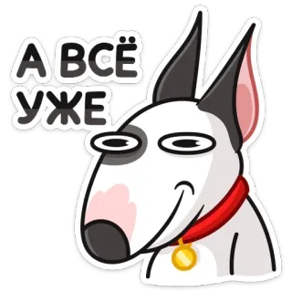 🤷‍♀️ А ВСЁ УЖЕ собака, бультерьер, мультфильм, текст, русский whatsapp sticker