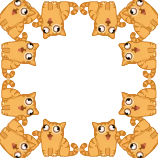 👀 gatto, gatti, animale, motivo, cornice whatsapp sticker