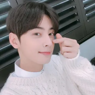 〽 Cha Eun-woo kpop, actor, cantante, modelo, ídolo, astro telegram sticker