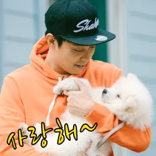 🐶 사랑해~ homem, cão, cachorro, amor, coreano, fofo, feliz telegram sticker