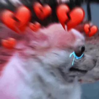 💔 dog, sad, crying, broken heart, emotions telegram sticker