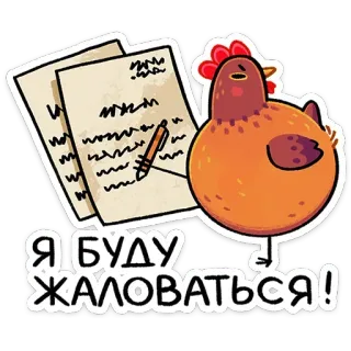 🖋 Я БУДУ ЖАЛОВАТЬСЯ! chicken, complaining, letter, writing, russian, жаловаться telegram sticker