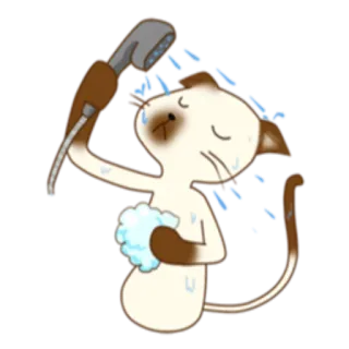 🛁 gatto, doccia, bagno, animale, carino, cartone animato whatsapp sticker
