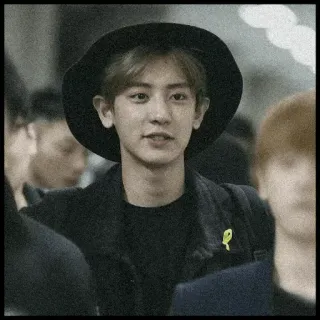 🗞 Chanyeol singer, kpop, idol, actor, chanyeol, exo whatsapp sticker