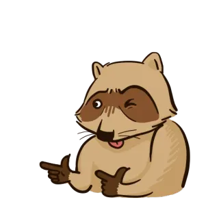 😜 Waschbär, Tier, zwinkernd, zeigend, niedlich, Cartoon telegram sticker