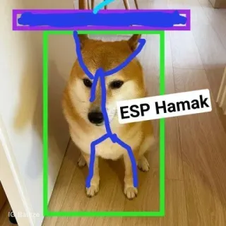 🥺 Balltze Doge ESP Hamak whatsapp sticker