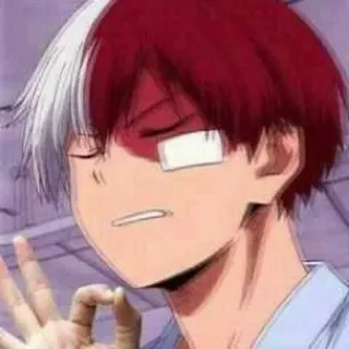 🇨🇦 Todoroki Shoto My Hero Academia Anime, My Hero Academia, Todoroki, Shoto, Personnage, Manga telegram sticker