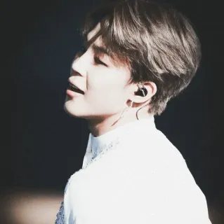 🔖 Jimin Jimin, BTS, K-pop, cantante, ídolo telegram sticker