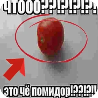 🫥 ЧТООО?!?!?!?! ЭТО ЧЁ ПОМИДОР!?!?! tomato, meme, confused, reaction, random, vegetable, funny telegram sticker