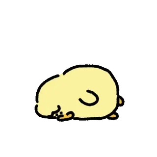 💬 pintinho, fofo, sonolento, dormindo, pássaro, animal, desenho animado whatsapp sticker