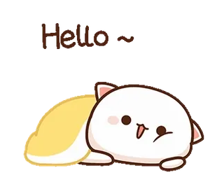 😊 Hello~ gatto, carino, kawaii, animale, saluto, ciao telegram sticker