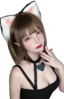 😍 สาวหูแมว, คอสเพลย์, อนิเมะ, หู, น่ารัก telegram sticker