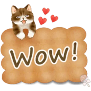 🐱 Wow! gato, wow, lindo, corazones, pegatina, adorable whatsapp sticker