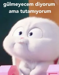 😅 gülmeyeceğim diyorum ama tutamıyorum 토끼, 웃긴, 귀여운, 동물, 흰색 whatsapp sticker